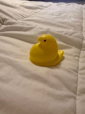 Viral TikTok squishy peep